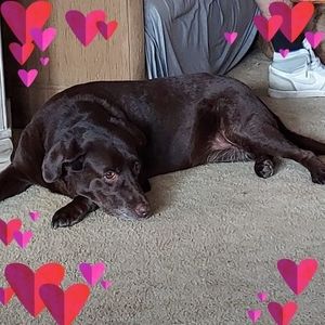 Meet your Posher, Barbara